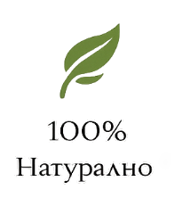 icon leaf transparent